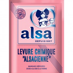 Yaourt Maison Ferments Lactiques ALSA : les 4 sachets -8g à Prix Carrefour