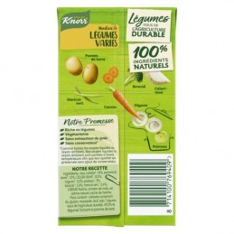 Soupe mouliné de légumes variés KNORR