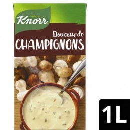 Soupe champignons bolets...