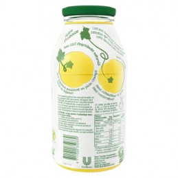 Soupe potiron et muscade KNORR la bouteille de 45cL