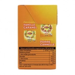 Thé noir pêche mangue LIPTON la boite de 20 sachets - 36 g