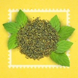 Thé vert menthe Marrakech Bio LIPTON la boite de 20 sachets