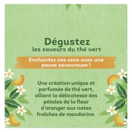 Thé vert Fleur d'Oranger & Mandarine Lipton Lipton
la boite de 20 sachets