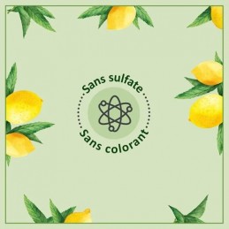 Gel Douche énergisant verveine citron Bio LE PETIT MARSEILLAIS
le flacon de 250mL