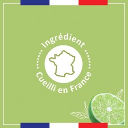 Mandarin & Lemon suihkugeeli LE PETIT MARSEILLAIS 250 ml pullo