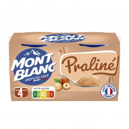 Crème Dessert Praliné MONT...