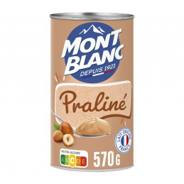 Crème Dessert Praliné MONT...