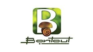 Bontout